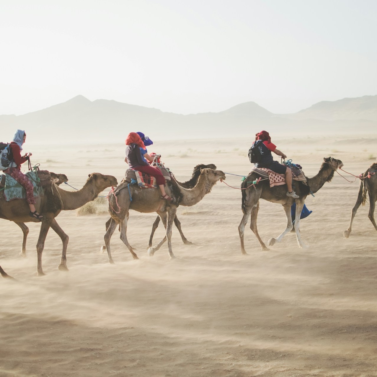 tourist-riding-camel-on-desert